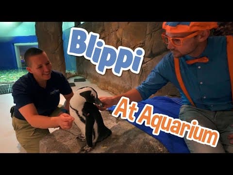 Blippi visits an aquarium - explore with blippi! - educational videos for toddlers