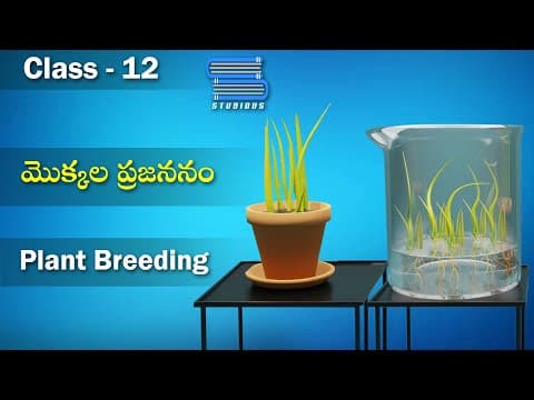 మొక్కల ప్రజననం - Plant Breeding | Enhancement in Food Production | Biology