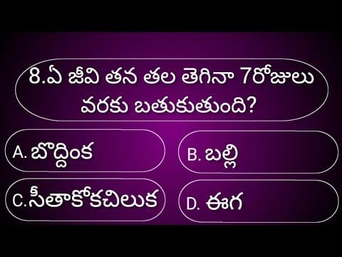 General knowledge Quiz|GK Quiz Telugu|Interesting facts|Episode-11|Unknown facts|Study Gk