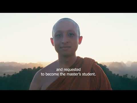 A SHORT STORY FULL OF WISDOM - story motivation
