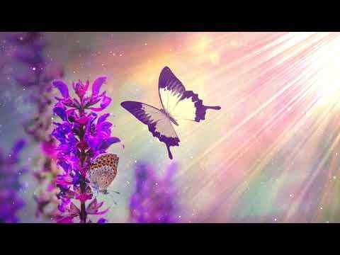 Peaceful Morning Meditation Music - Relieving Stress and Anxiety - Calming Relaxing Sleeping Music