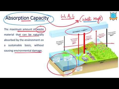 What is Absorption Capacity ? || Absorption Capacity అంటే ఏమిటి?