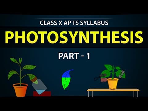 PHOTOSYNTHESIS part 1  -  NUTRITION  -  10th biology  -  Class 10th science in English medium