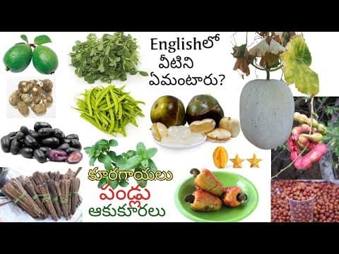 Names of vegetables - fruits - leafy vegetables - vocabulary