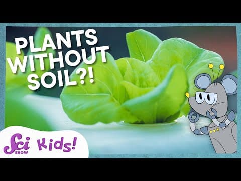 Growing Plants Without Soil! | Squeaks Grows a Garden!