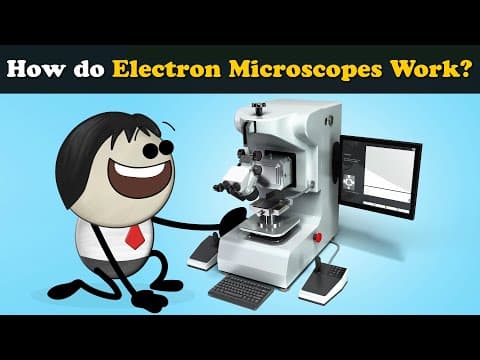 How do Electron Microscopes (Scanning) Work? + more videos | #aumsum #kids #science #education