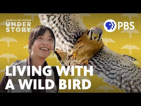 Living with a Wild Bird: What’s it like to become a falconer