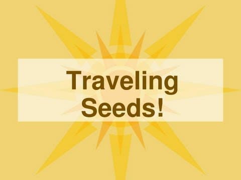 Seed Dispersal Methods and Types Video for Kids