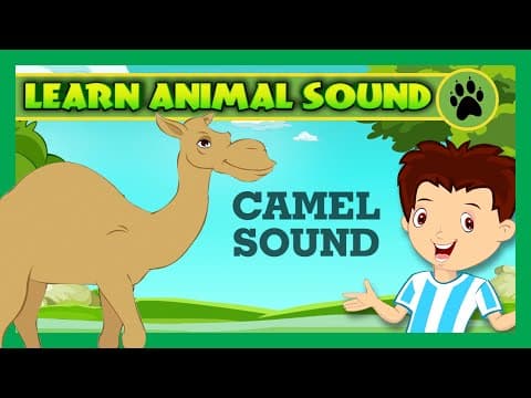 Animal Sounds for Children | Camel Sound, Goat Sound, Pig Sound | Kids Hut