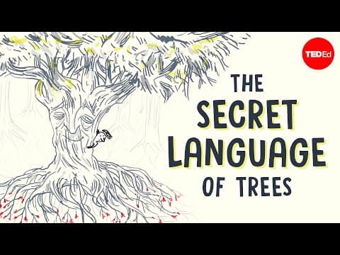 The secret language of trees-camille defrenne and suzanne simard