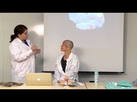 Neuroanatomy Lesson| An MIT scientists brain map show and tell