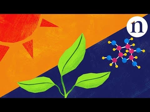 Learning from leaves- Going green with artificial photosynthesis