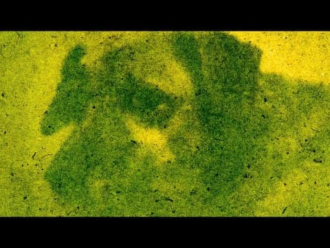 Green Hacks: How to make Anthotypes - Edd Carr, Northern Sustainable Darkroom - YouTube