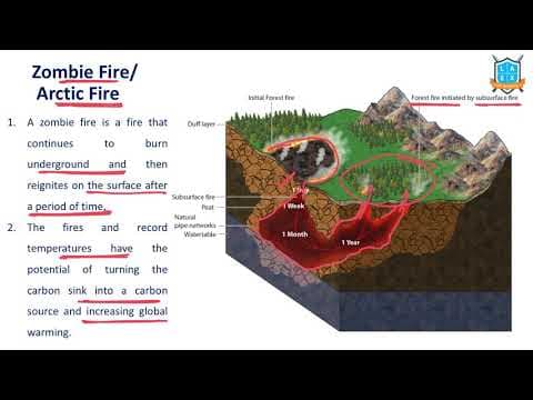 What is Zombie Fire/ Arctic Fire ? || Zombie Fire/ Arctic Fire అంటే ఏమిటి?