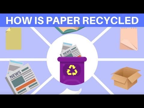 How is Paper Recycled? Waste Paper Recycling Process - Recyling for kids - Paper Recycling for kids