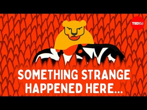 Can you figure out the savanna mystery? - Cella Wright - YouTube