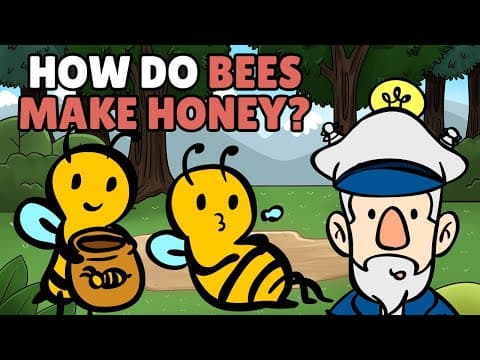 How Do Bees Make Honey? | Best Learning Videos For Kids |