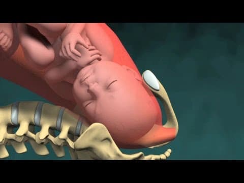 Normal vaginal childbirth