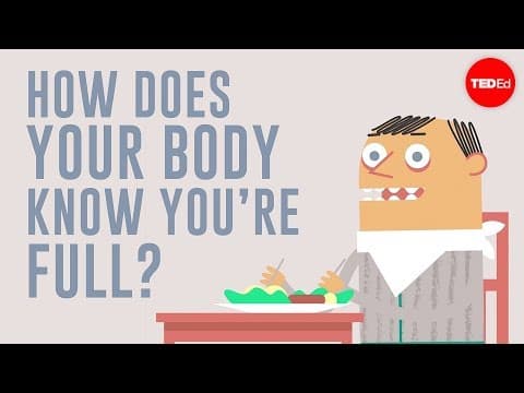 How does your body know you're full? - Hilary Coller - YouTube