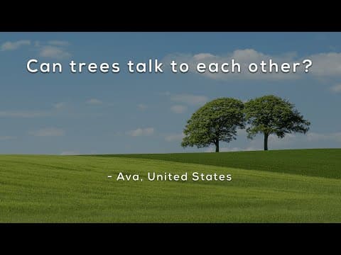 Can trees talk to each other