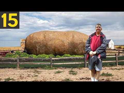15 biggest fruits & vegetables ever recorded