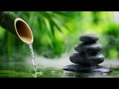 2 Hours of Relaxing Sleep Music • Beautiful Relaxing Music Sleep Music Stress Relief
