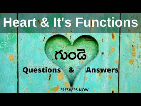 మానవ గుండె మరియు దాని పని తీరు || Human Heart and Its Functions in Telugu Questions and Answers