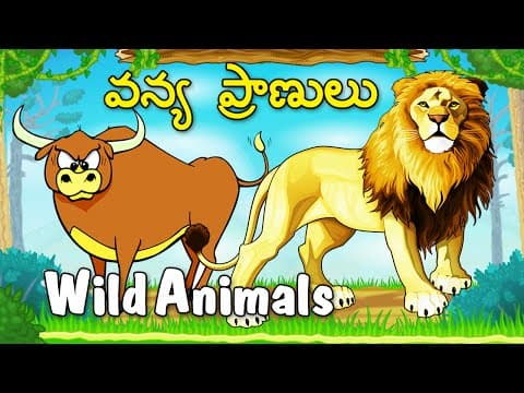 Learn types of wild animals - animated video for kids