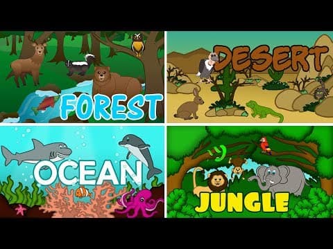 Learn spelling for kids - learning to spell animals - wild animals for children to learn in english