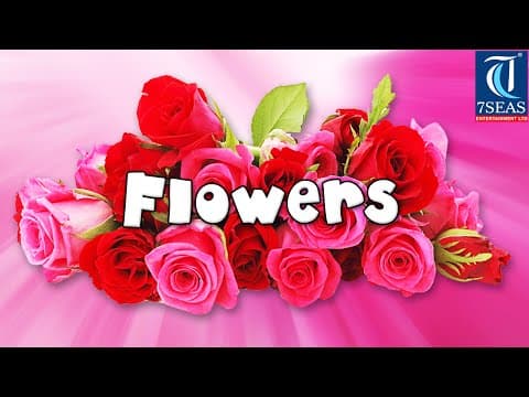 Learn names of flowers - flower names in animation video - learning for kids
