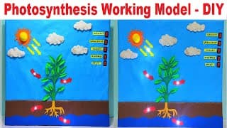 photosynthesis working model science project for exhibition with led lights - diy