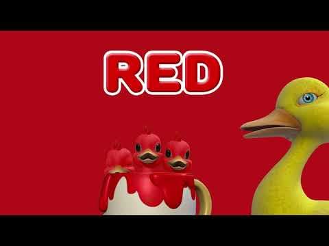 Five little ducks  Colours Nursery Rhymes  Baby Songs