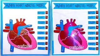 heart working model science project for exhibition with led lights - diy - simple