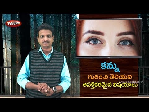 Interest facts about Human Eye in Telugu | Science fun facts in Telugu
