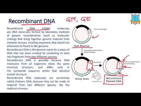 What is Recombinant DNA ? || Recombinant DNA అంటే ఏమిటి?