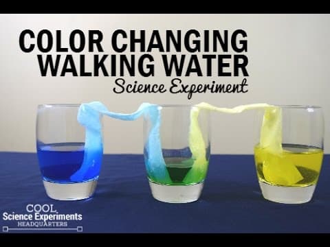 Color Changing Walking Water Science Experiment