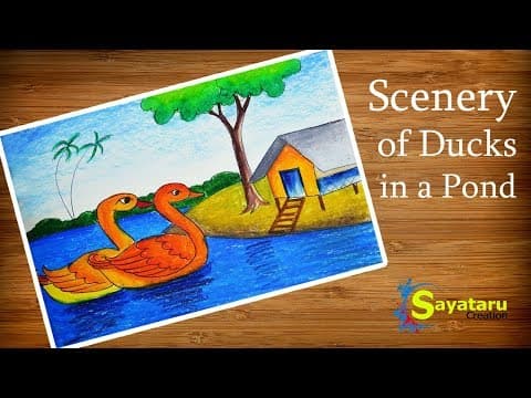 How to draw Scenery of Ducks in a Pond, Easy Ducks drawing