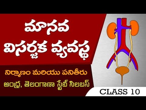 Manava Visarjaka Vyavastha | HUMAN EXCRETORY SYSTEM in telulgu