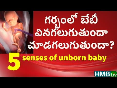 గర్భంలో బేబీకి "చూపు , వినికిడి, రుచి, వాసన, స్పర్శ " video in telugu - 5 senses of baby