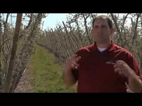 Agriculture and Food Systems