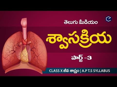శ్వాస క్రియ Swasakriya part-3 |  Biology Respiration in telulgu