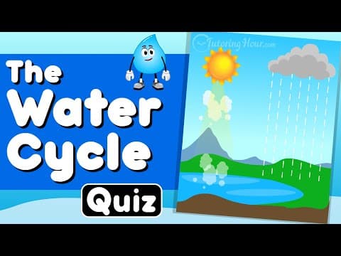 The Water Cycle Quiz for Kids | Key Processes in a Water Cycle | Droppy’s Water Cycle Adventure!