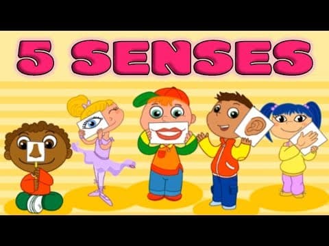 Five Senses: Taste, Smell, Sight, Hearing, Touch - Quiz for Kids