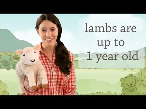 Nursery rhymes - mary had a little lamb song kids
