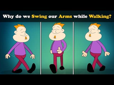 Why do Astronauts wear Orange and White Spacesuits? + more videos | #aumsum #education #children