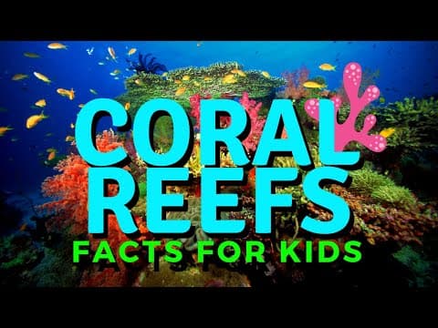 Coral Reef For Kids - Exploring the Coral Reef