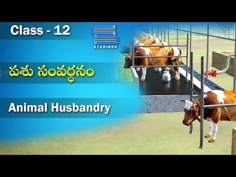 పశు సంవర్ధనం – Animal Husbandry | Food Production | Biology Telugu