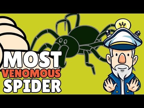 What If You Were Bitten By The Most Venomous Spider? - Sydney Funnel Web Spider
