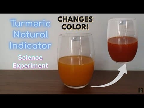 Turmeric Natural ph Indicator | Easy Science Experiment for Kids|with explanation|turmeric + water=?