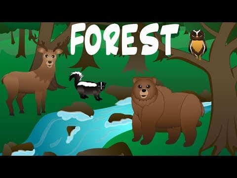 Forest animals video for children – forest animal spelling songs for kids –preschoolers kindergarten